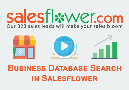 Business Database Search