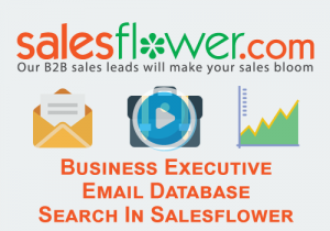Business Executive Email Database Search