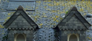 roofing contractors lists, roofing contractors leads