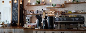 carry out food businesses