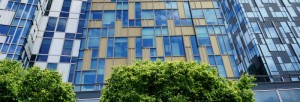 bug control business leads list